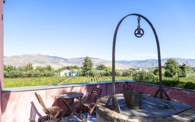 In the blog Pull That Cork the story of a day spent at our company