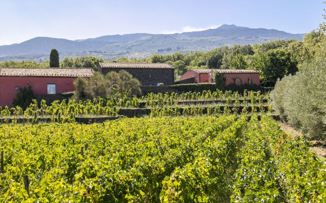 All the flavor of the best fruit of Sicily in the new Jams Terraces of Etna