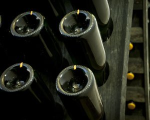 Wine Cellar