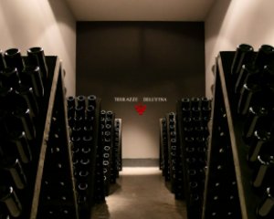 Wine Cellar