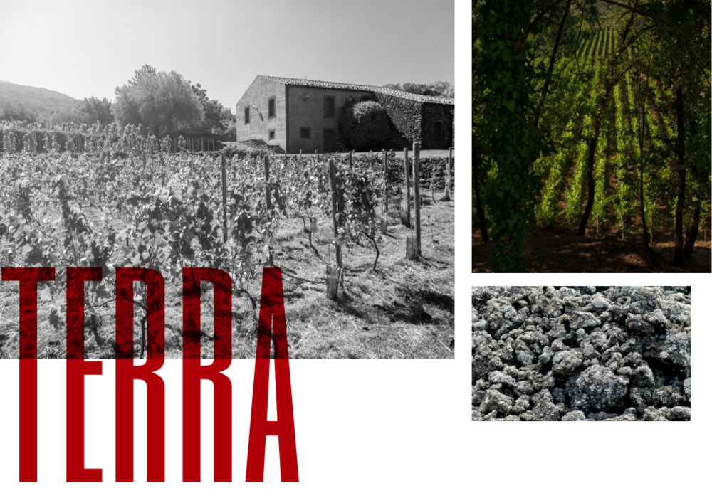Spumante dell’Etna
