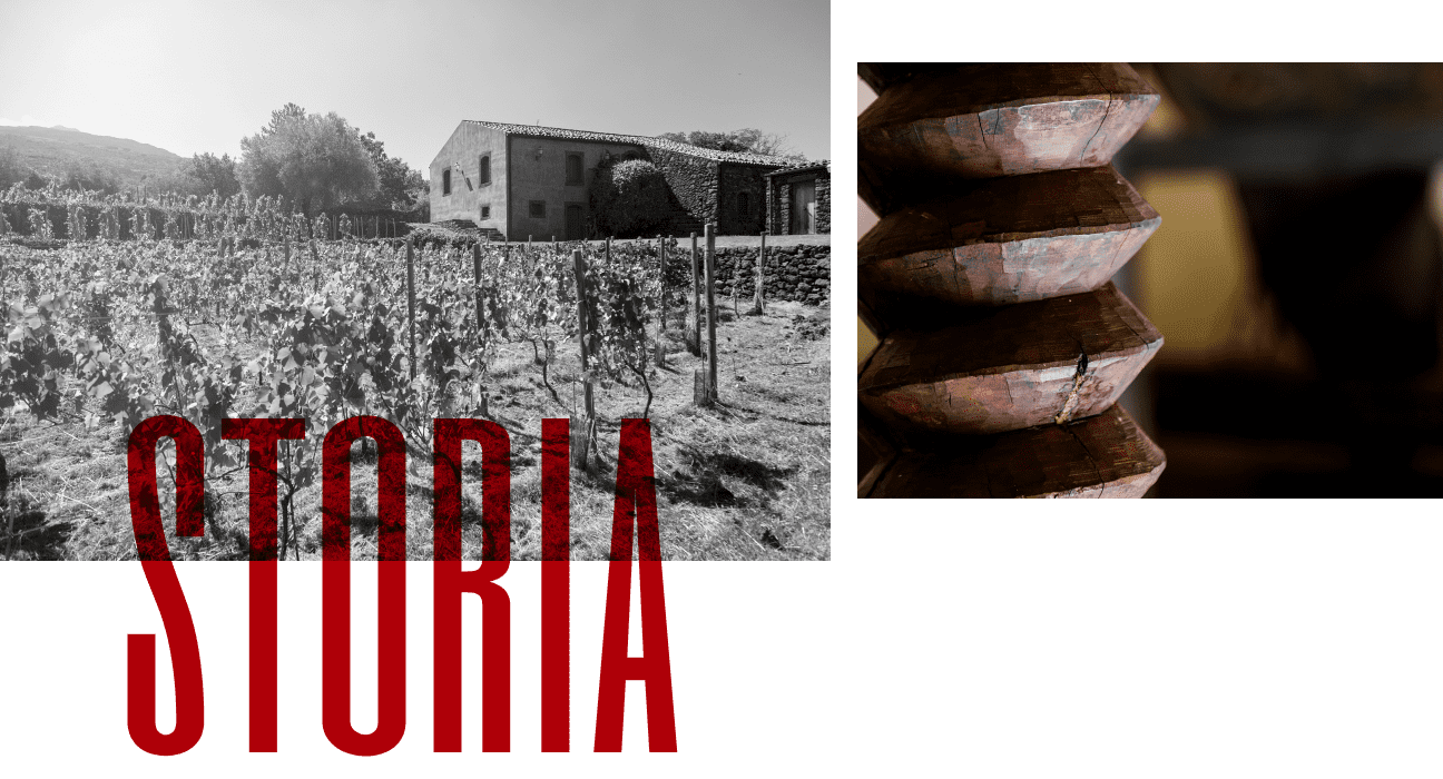 Identità