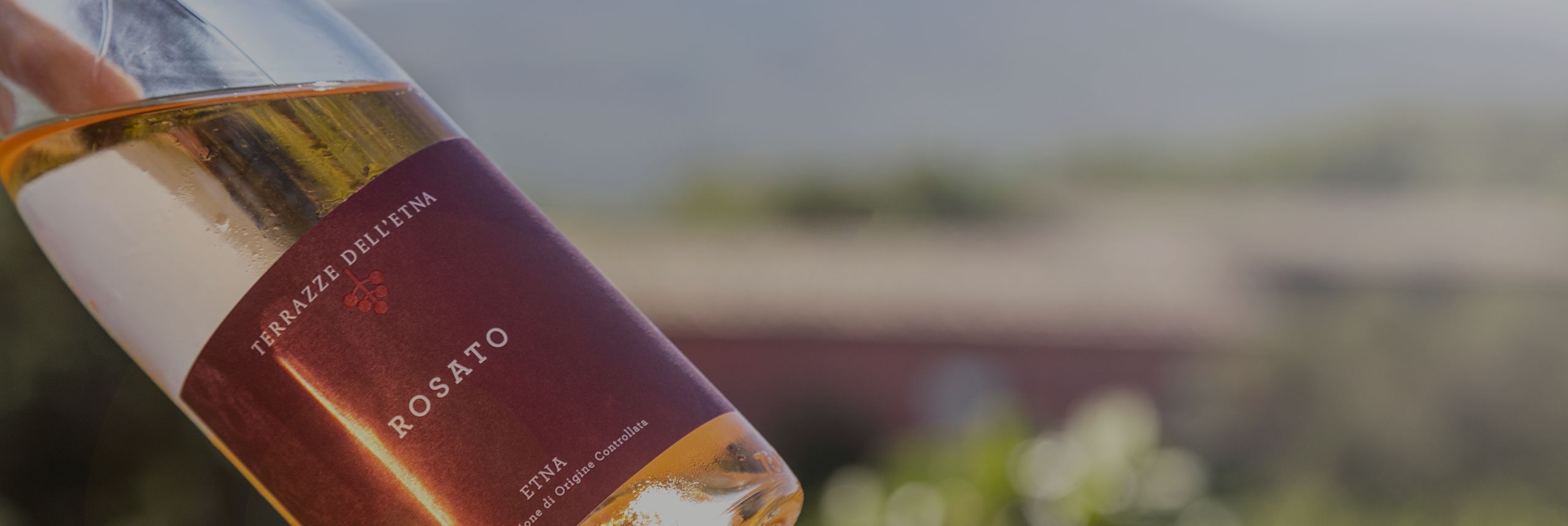 Rosè