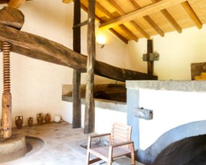 Ancient Palmento