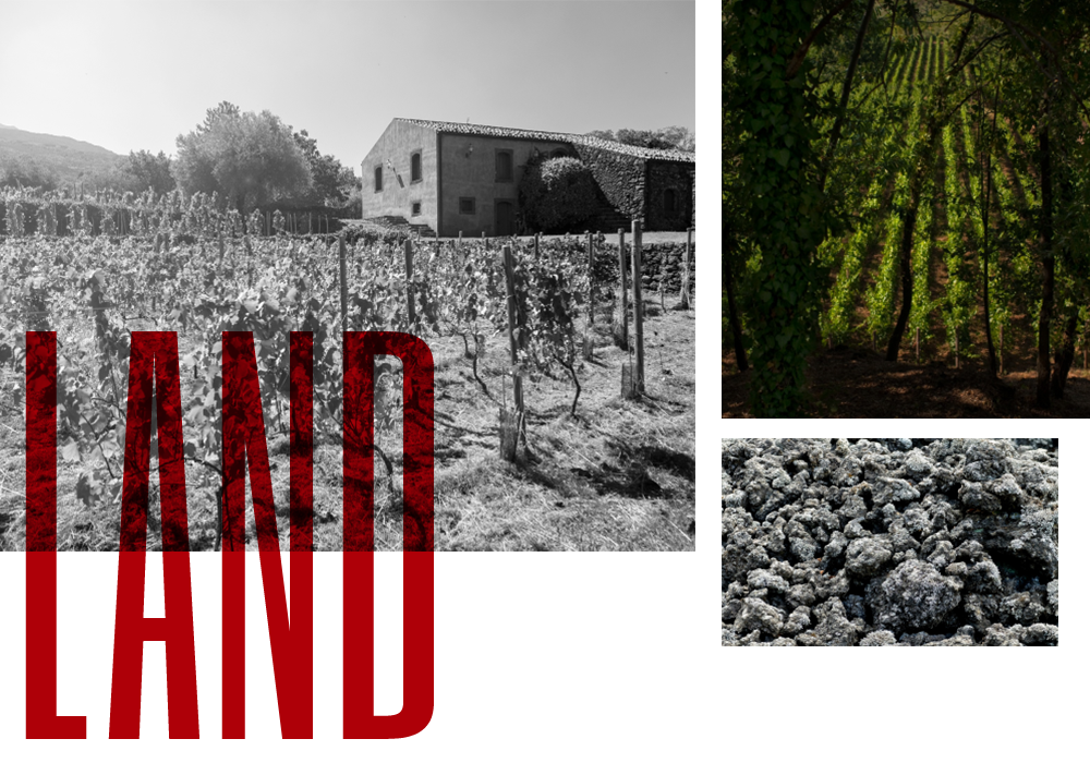 Etna Sparkling Wine